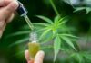 Does Hemp Oil For Autism Actually Work? Find Out! Hemp Oil For Autism Actually Work