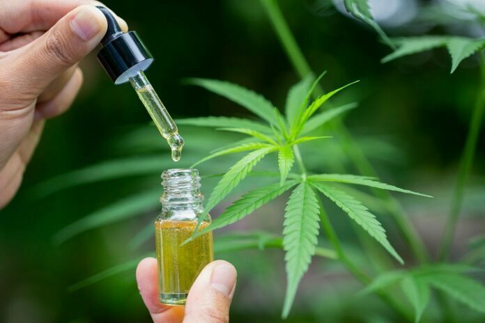 Hemp Oil For Autism Actually Work