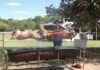 Why Prefer Spit Roast Catering for Your Party? Spit Roast Catering for Your Party