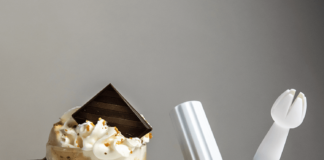 Buy Whip Cream Chargers from Good Online Sites at a Reasonable Price Whip Cream Chargers