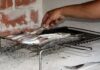 Ido Fishman Discusses Foods That Shouldn’t be Thrown Away Ido Fishman